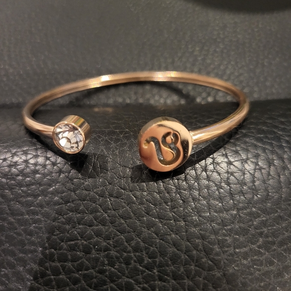 Jewelry - Stainless Steel Leo Bangle with Clear Crystal